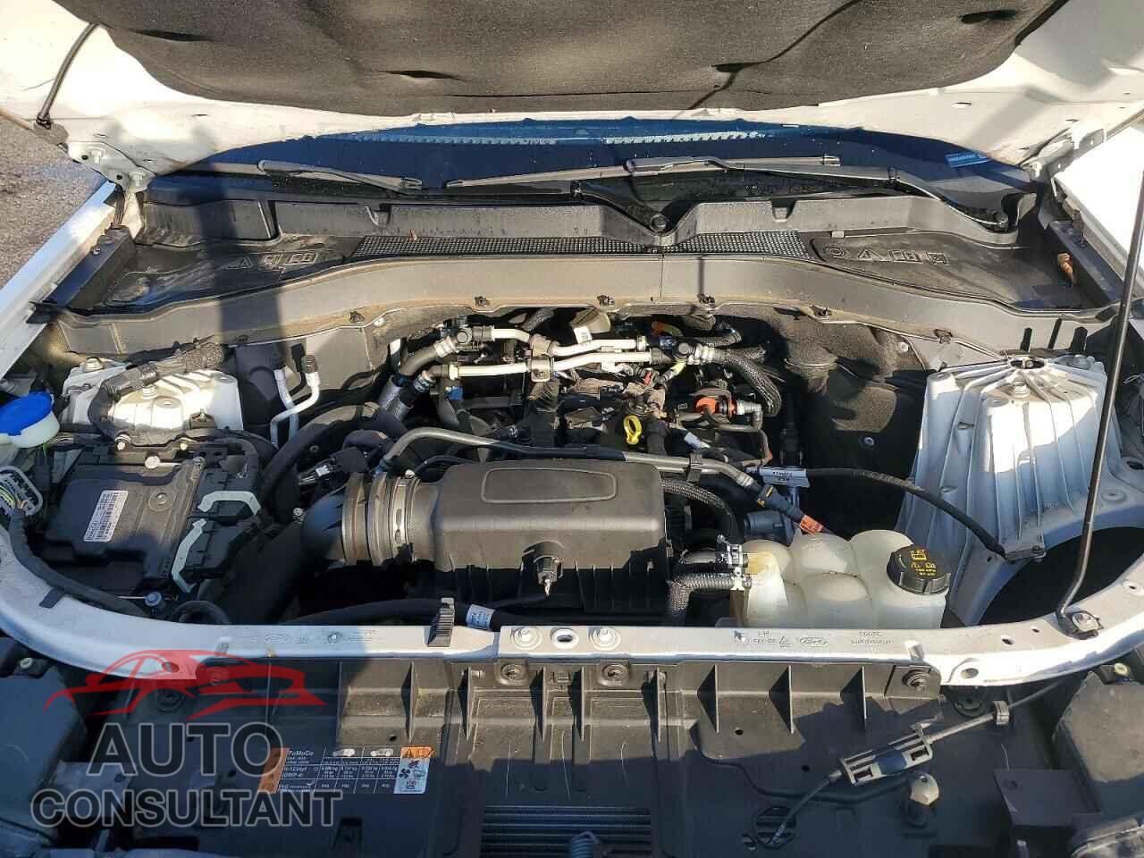 FORD EXPLORER 2022 - 1FMSK8JH3NGB16017
