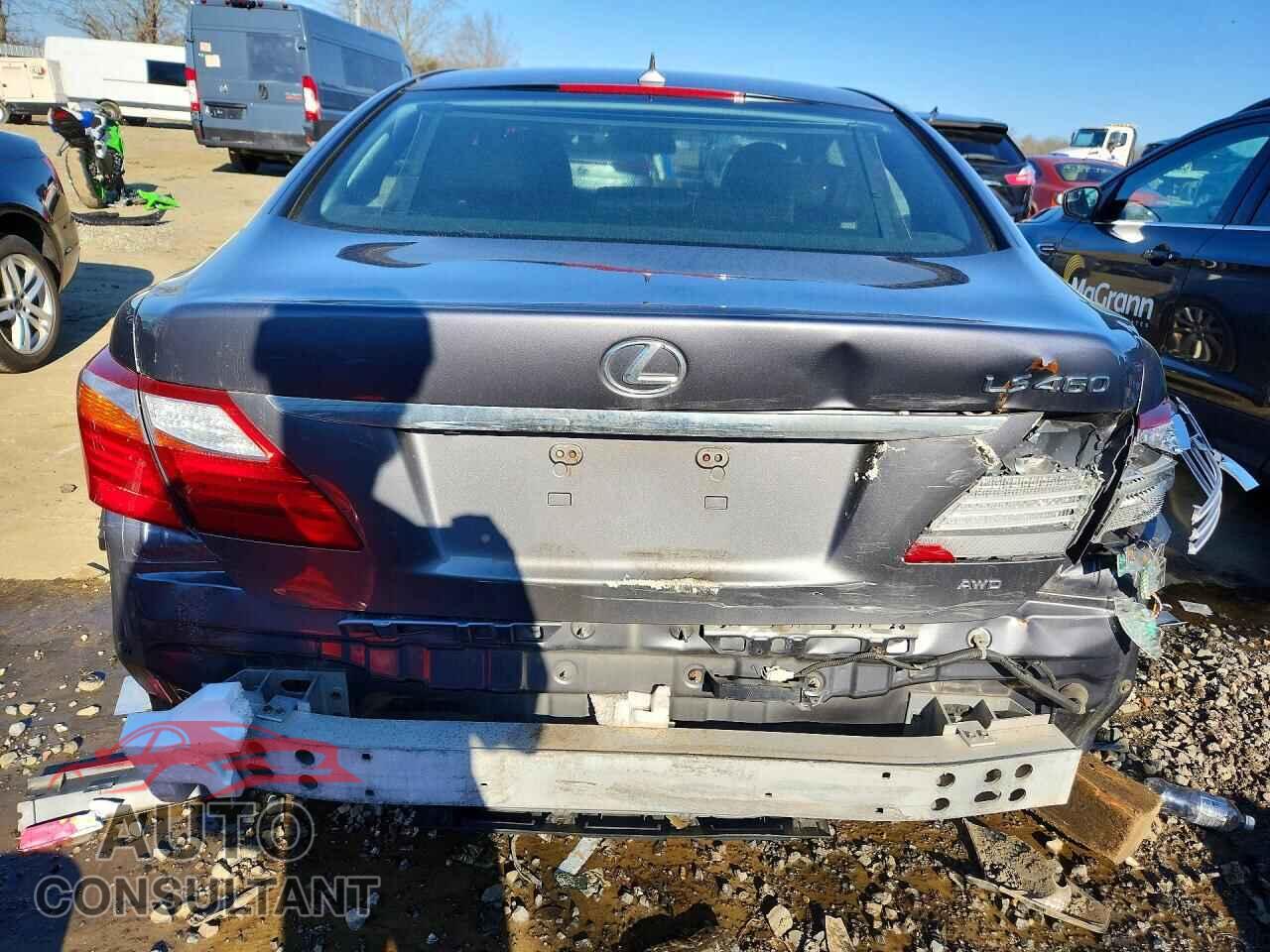 LEXUS LS 460 2012 - JTHCL5EF9C5013320