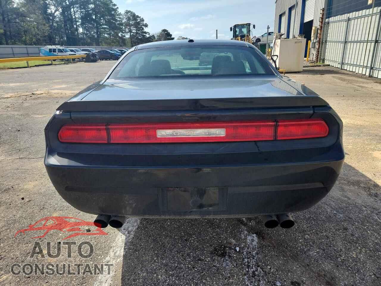 DODGE CHALLENGER 2012 - 2C3CDYBT7CH100754