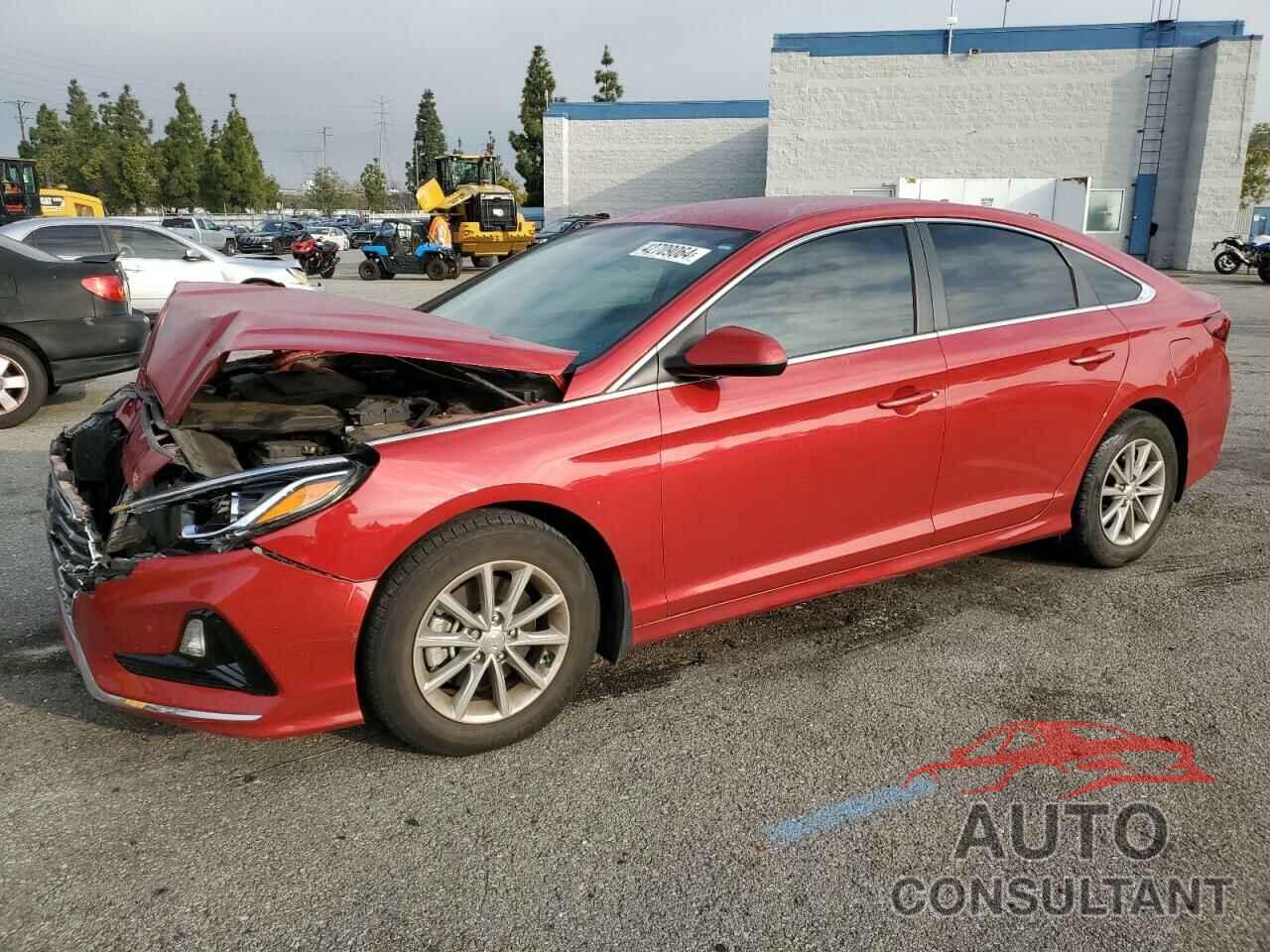 HYUNDAI SONATA 2019 - 5NPE24AF2KH807250