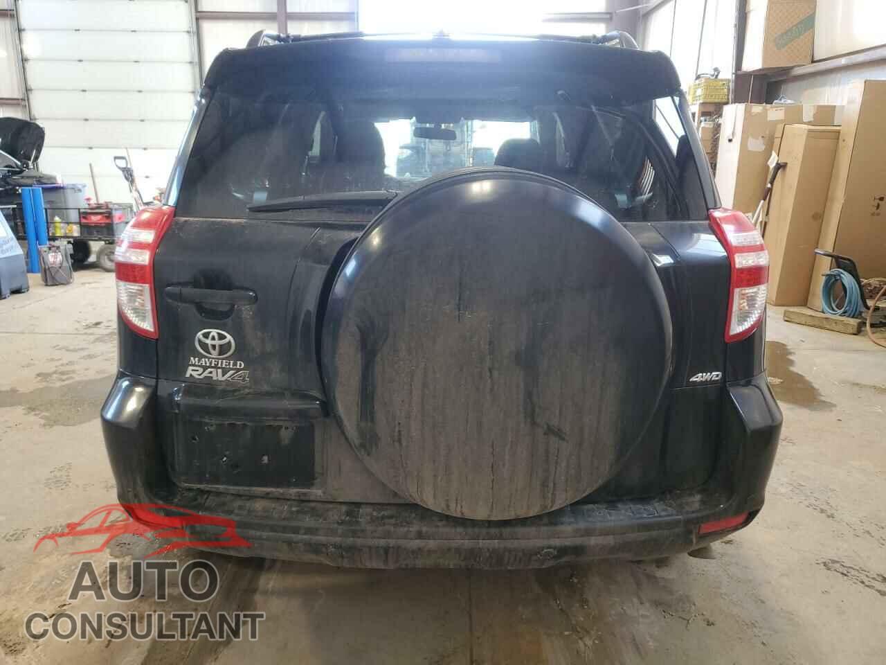 TOYOTA RAV4 2011 - 2T3RF4DV5BW117557