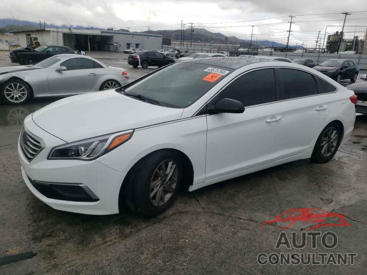 HYUNDAI SONATA 2017 - 5NPE24AF4HH528343