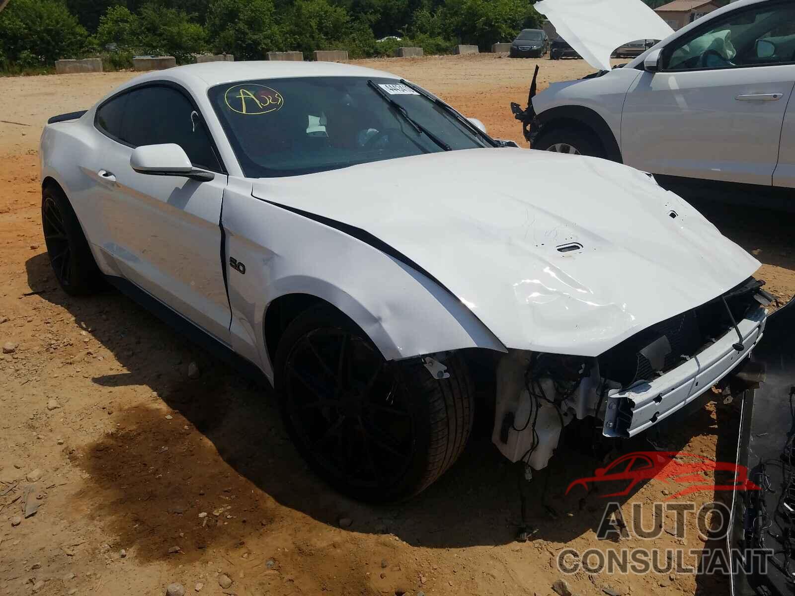 FORD MUSTANG 2019 - 1FA6P8CF5K5157085