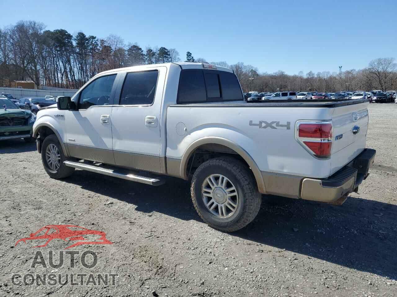 FORD F-150 2011 - 1FTFW1ET8BFB61407