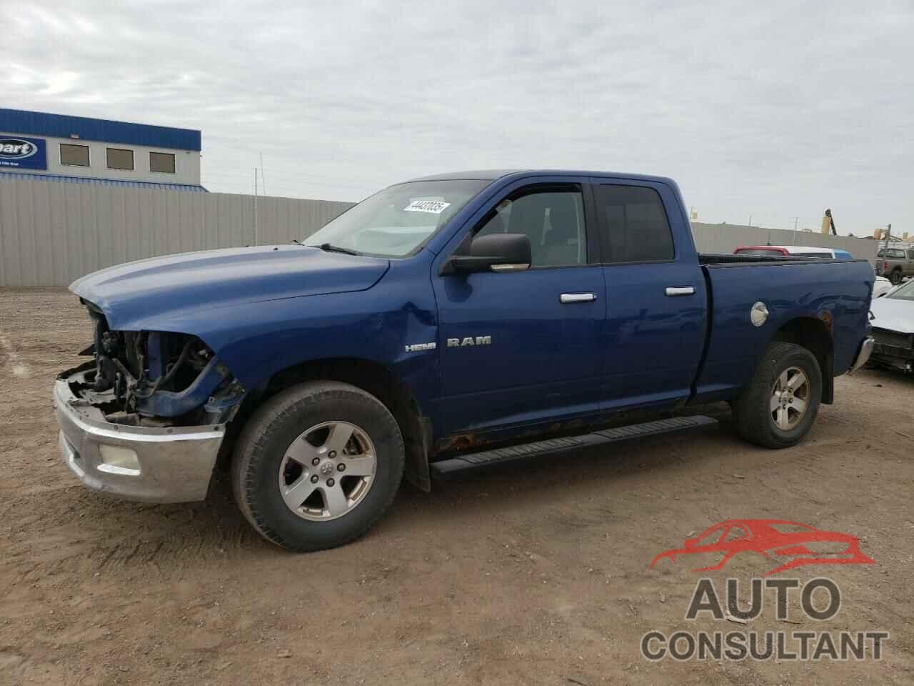 DODGE All Models 2010 - 1D7RV1GT0AS136400