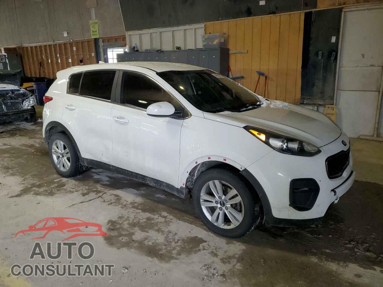 KIA SPORTAGE 2017 - KNDPM3AC1H7097287