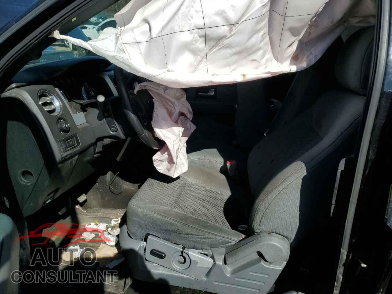 FORD F-150 2013 - 1FTFX1EF1DFD25039