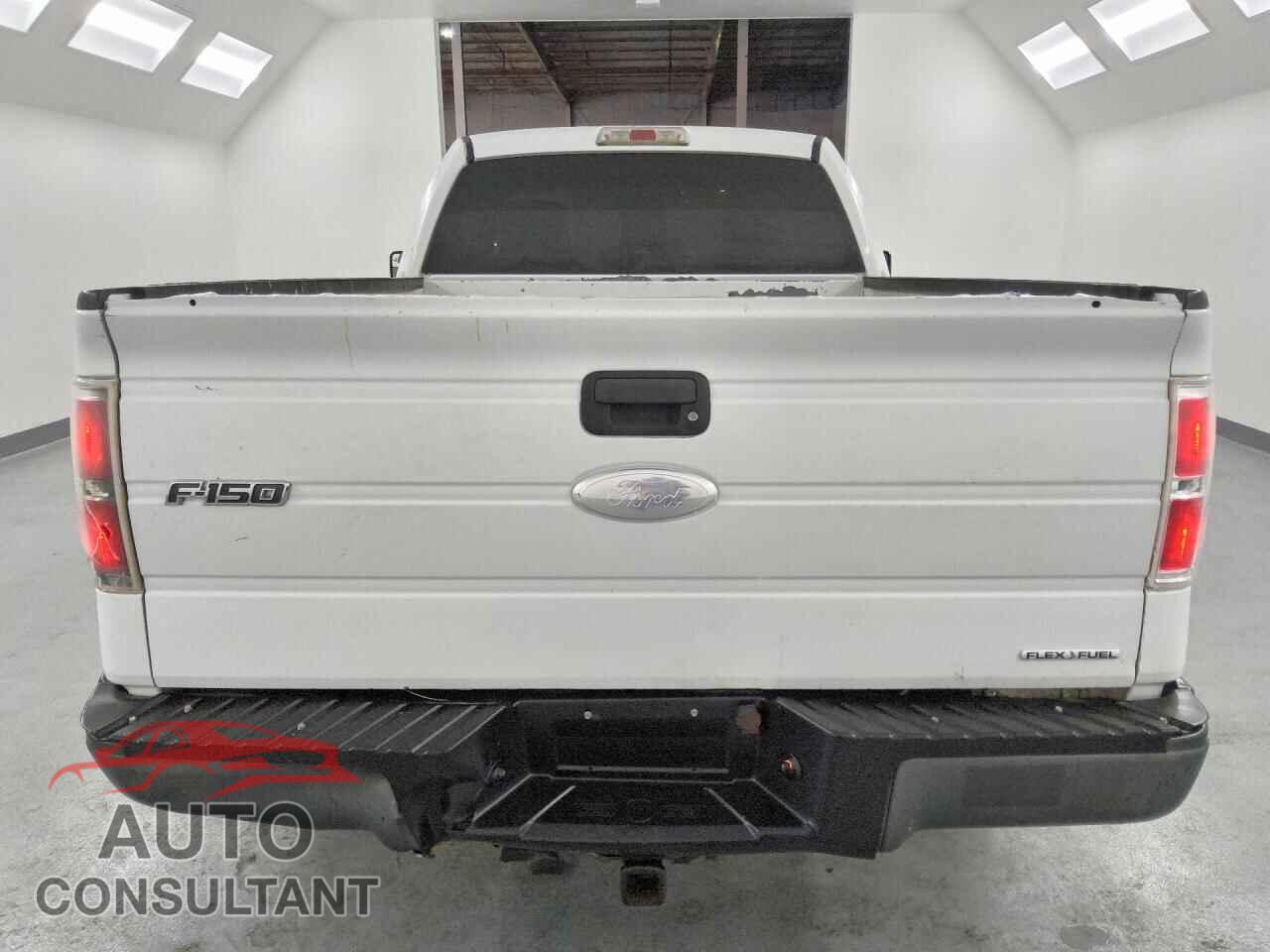 FORD F150 2011 - 1FTMF1CM1BKD44609