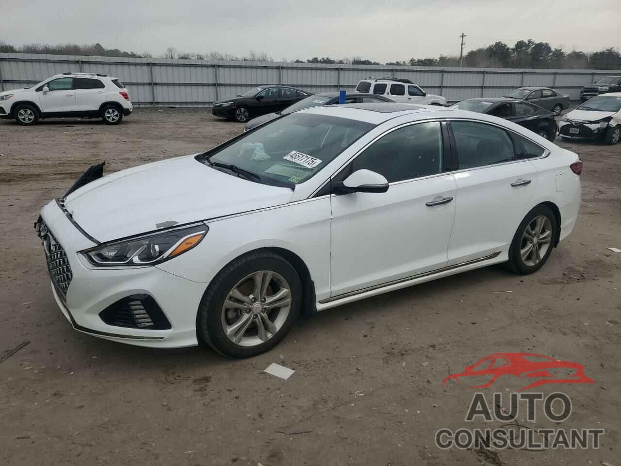 HYUNDAI SONATA 2019 - 5NPE34AF9KH758190
