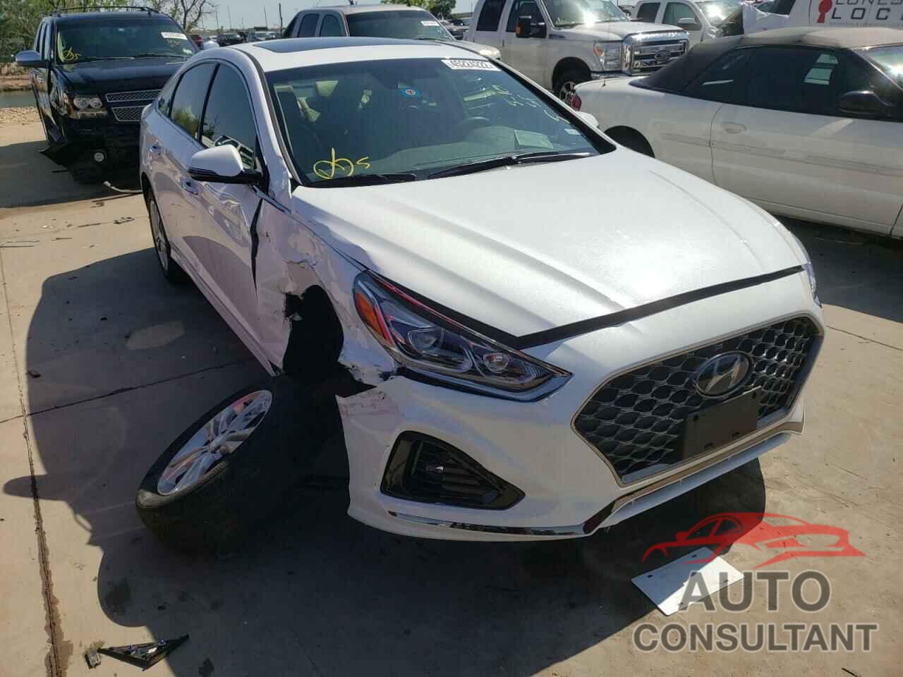HYUNDAI SONATA 2019 - 5NPE34AF6KH744604