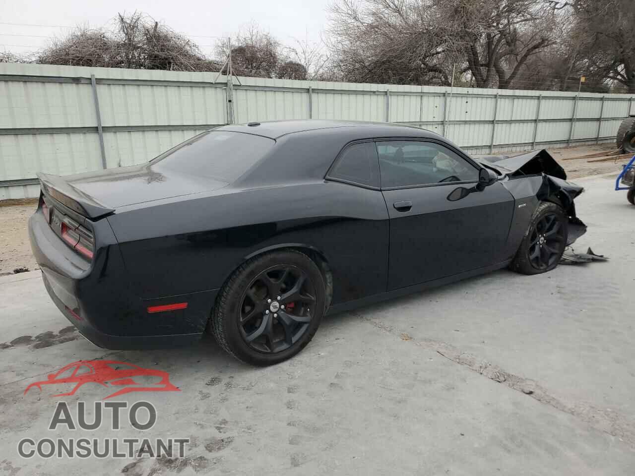 DODGE CHALLENGER 2019 - 2C3CDZBT9KH651983