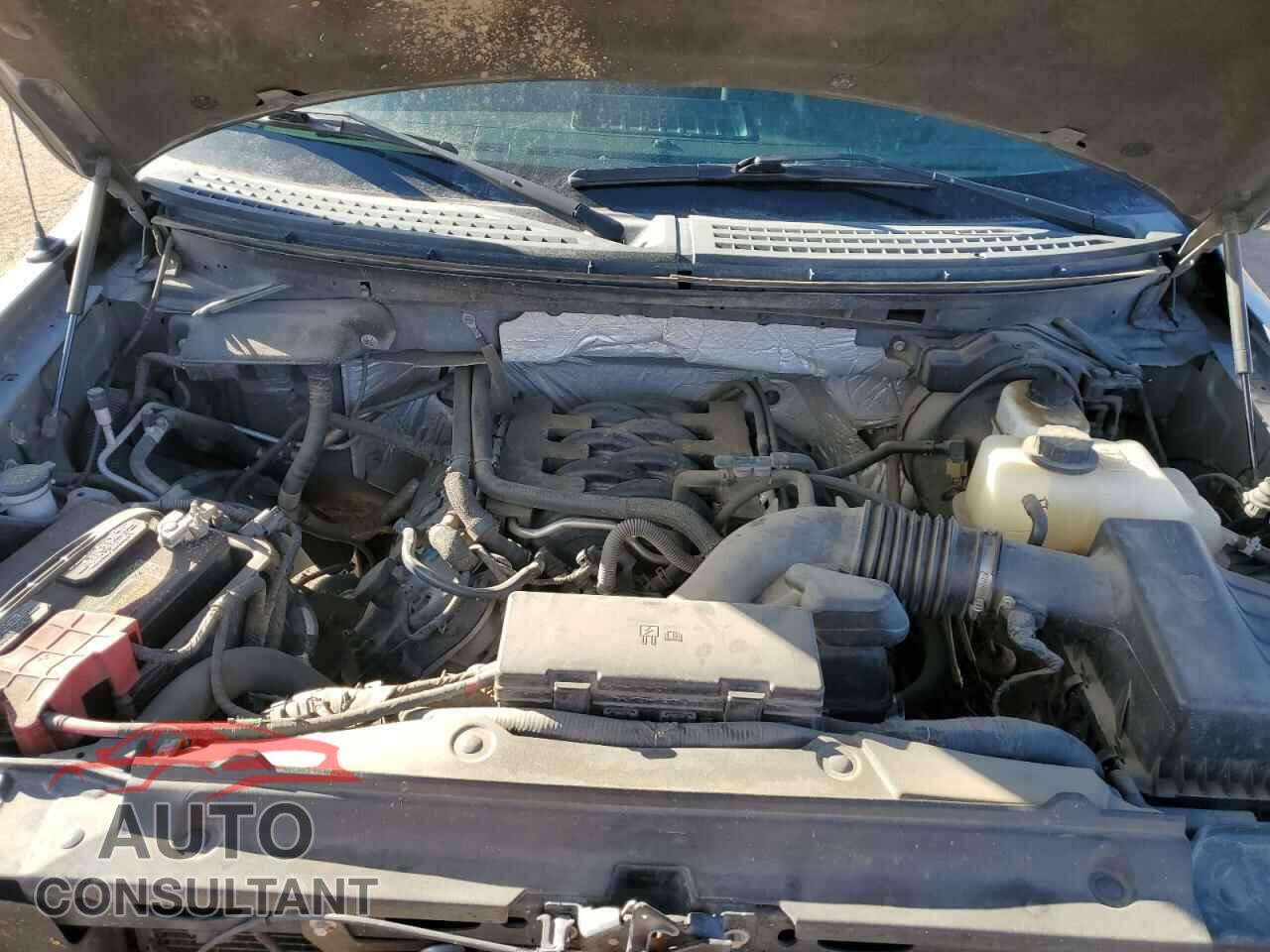 FORD F-150 2011 - 1FTFX1EF1BFC31420