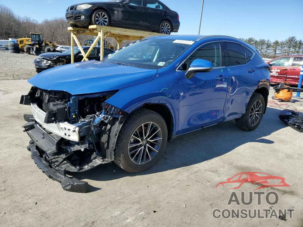 LEXUS NX 250 BAS 2024 - 2T2ADCEZ7RC005048