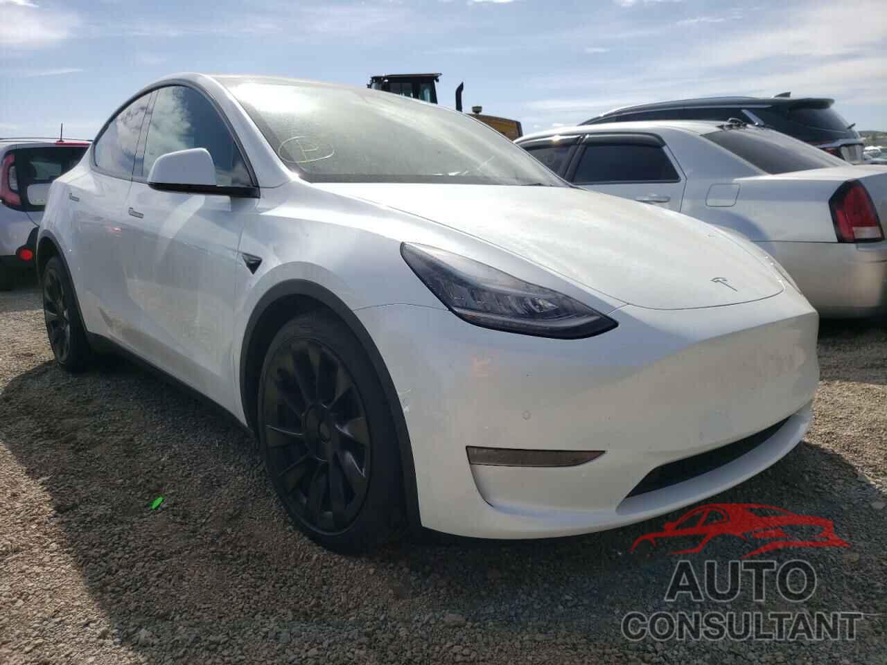 TESLA MODEL Y 2021 - 5YJYGDEE4MF095535