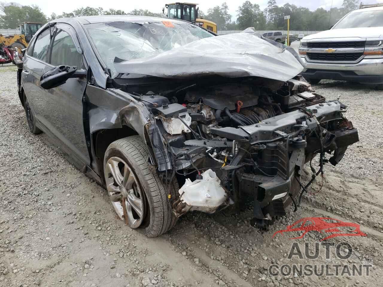 HYUNDAI SONATA 2019 - 5NPE34AF2KH739853