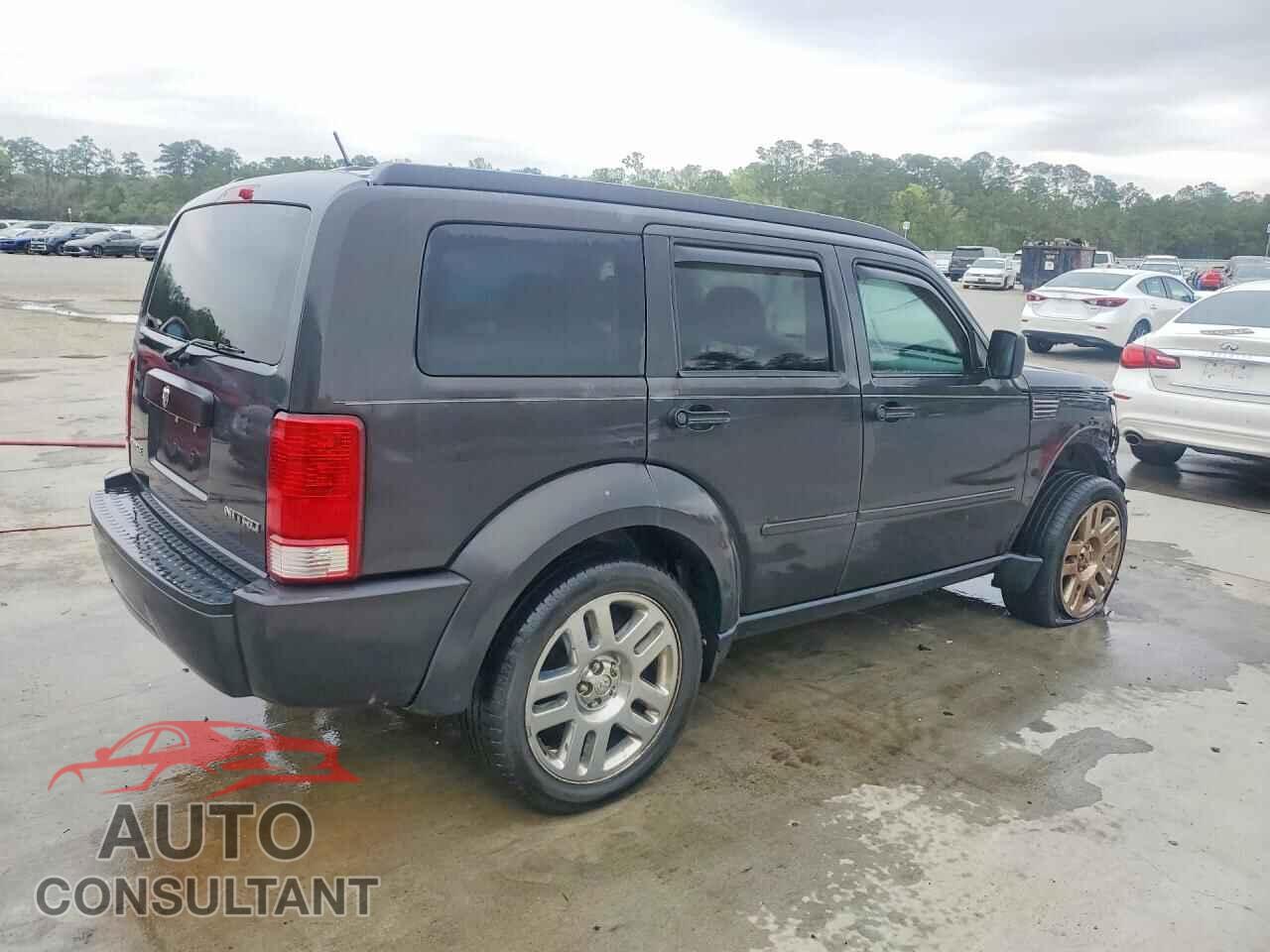 DODGE NITRO 2010 - 1D4PT4GK4AW174160