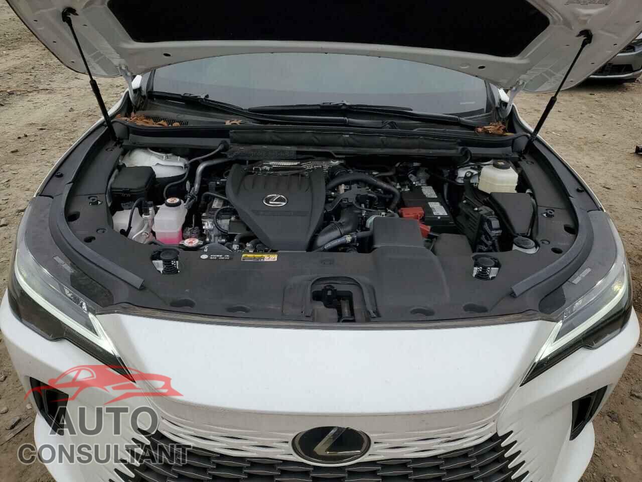 LEXUS RX350 2023 - 2T2BAMCA7PC029184