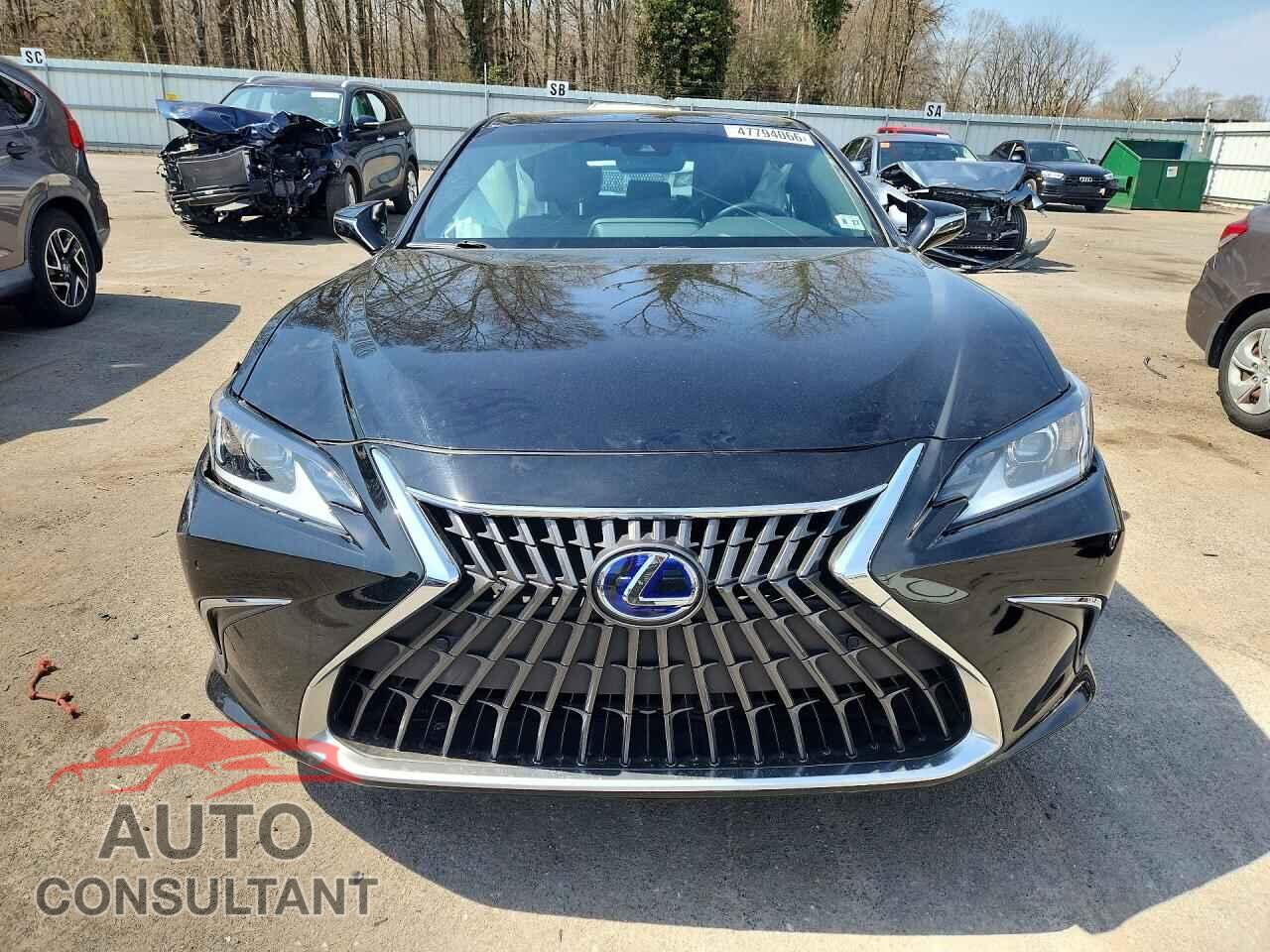 LEXUS ES300 2022 - 58ADA1C19NU015271