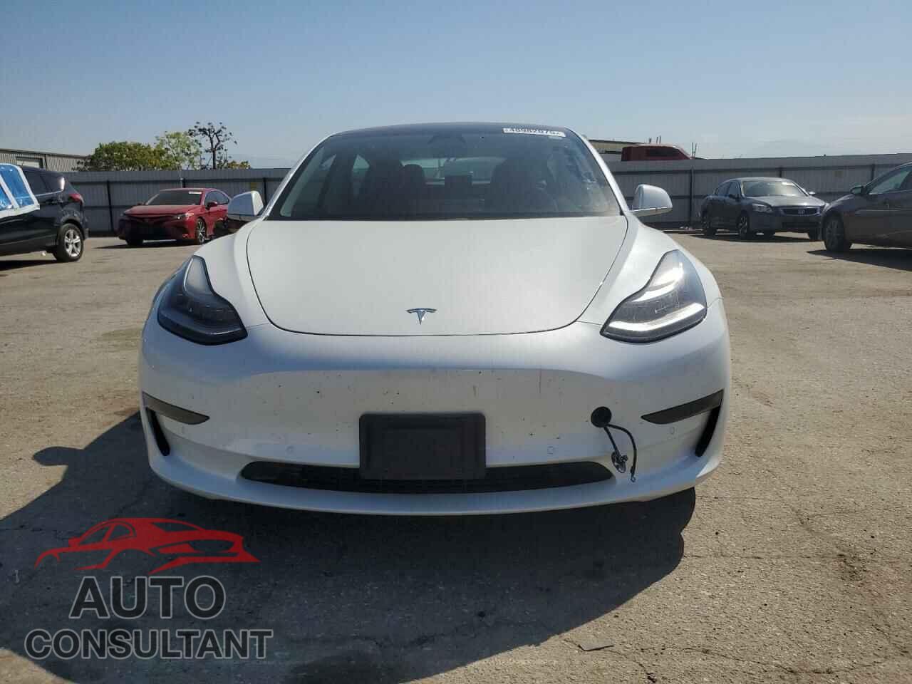 TESLA MODEL 3 2019 - 5YJ3E1EA3KF483719