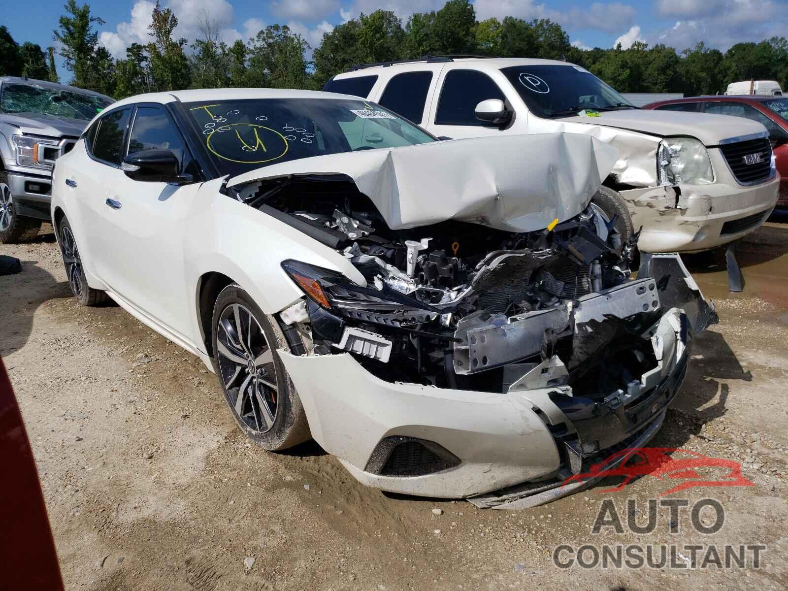 NISSAN MAXIMA 2019 - 1N4AA6AV2KC369593