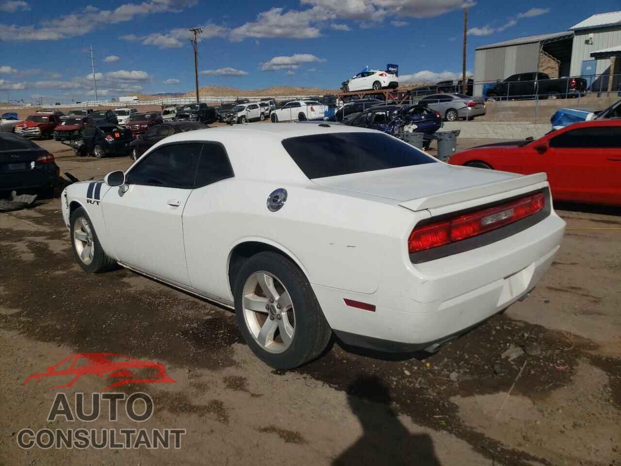 DODGE CHALLENGER 2013 - 2C3CDYBT3DH535790