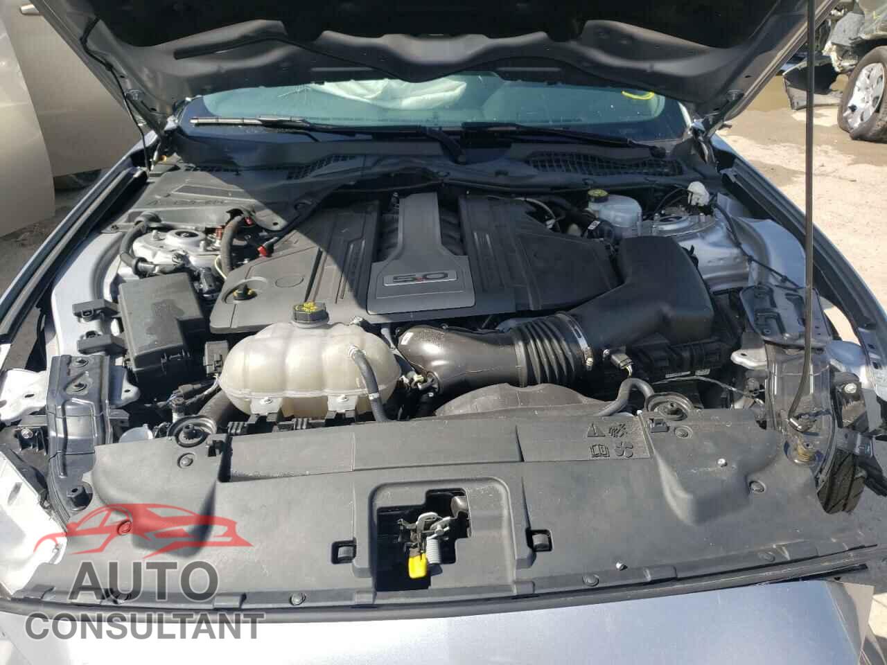 FORD MUSTANG 2020 - 1FA6P8CF8L5187988