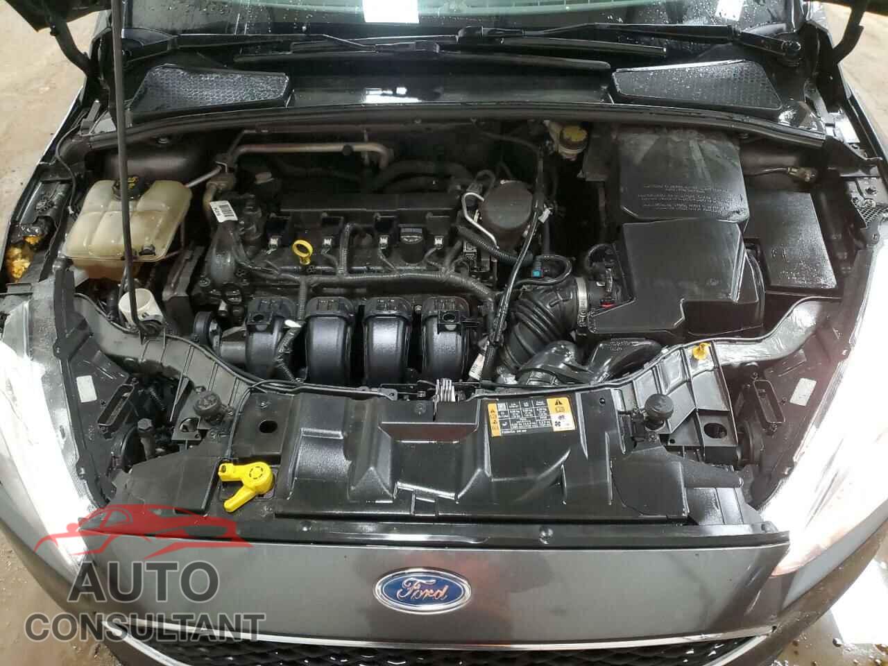 FORD FOCUS 2016 - 1FADP3F22GL208385