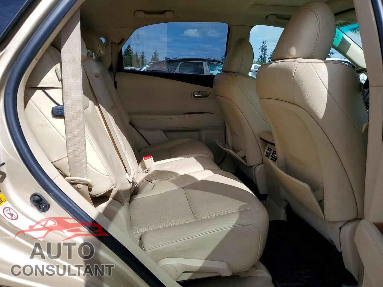LEXUS RX350 2010 - 2T2BK1BA2AC056572