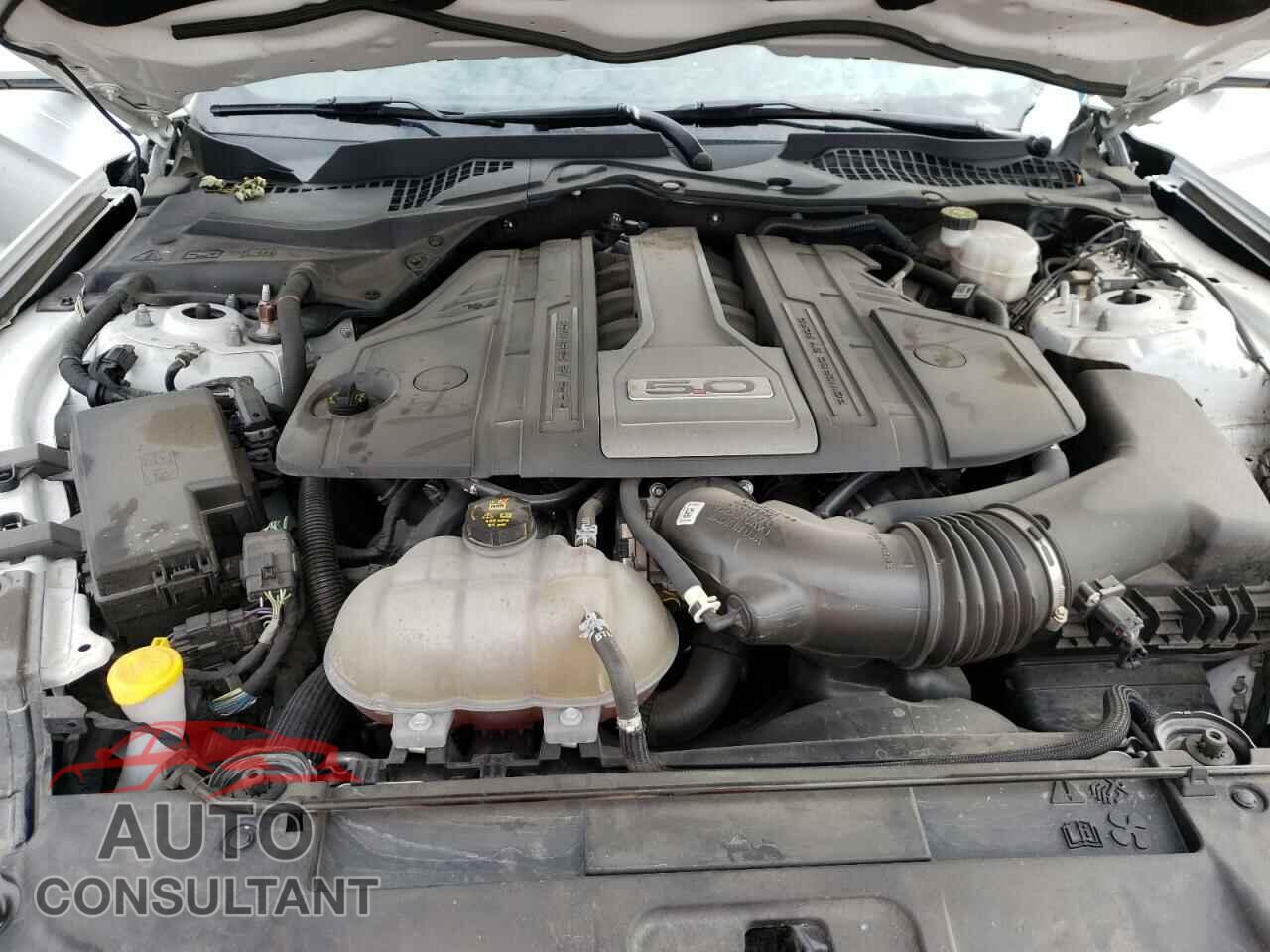 FORD MUSTANG 2019 - 1FA6P8CF4K5138222