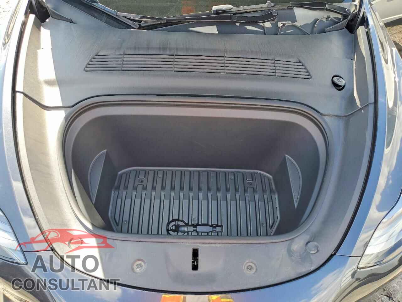 TESLA MODEL Y 2024 - 7SAYGDED0RF038668