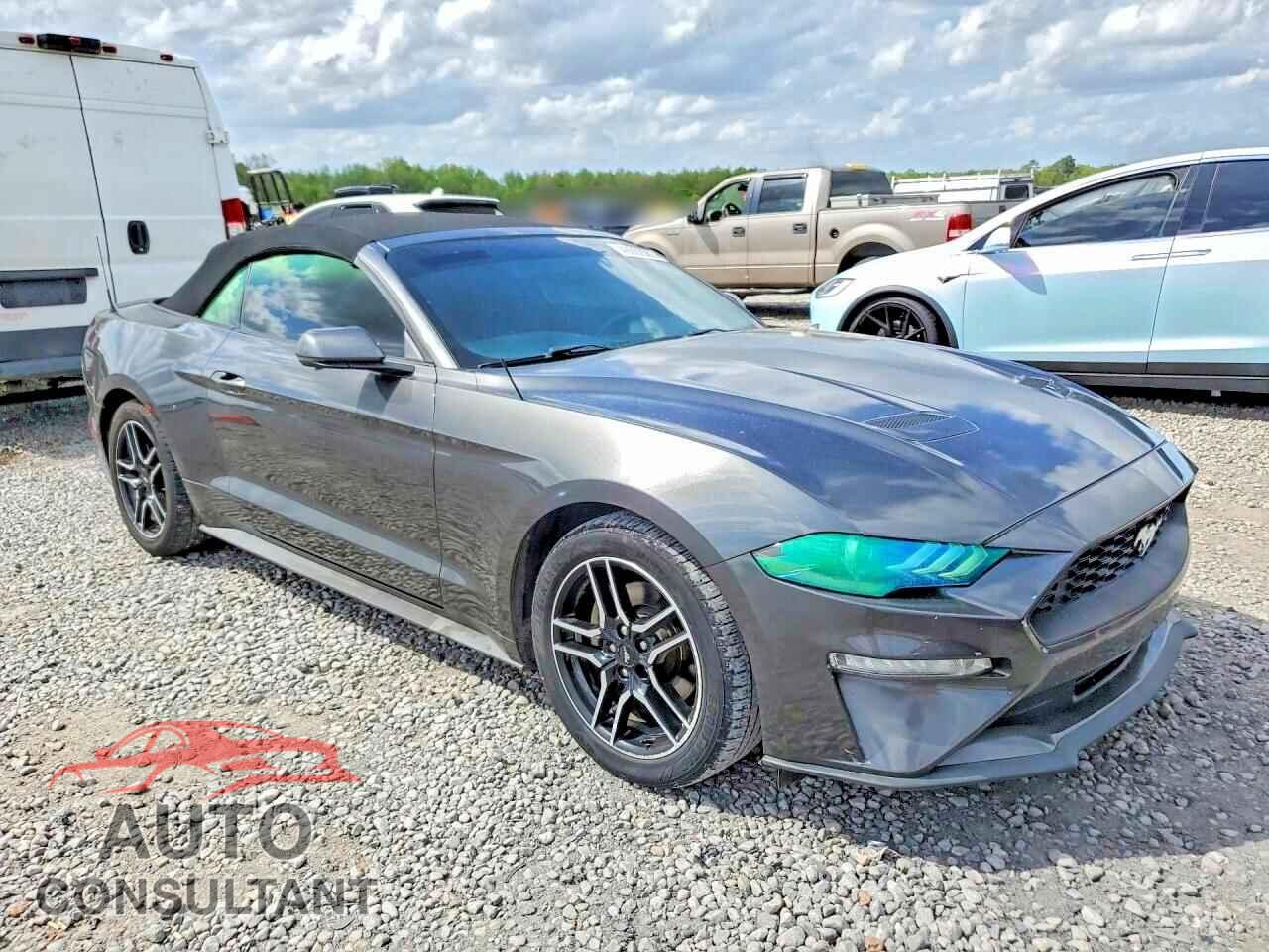FORD MUSTANG 2019 - 1FATP8UHXK5149132