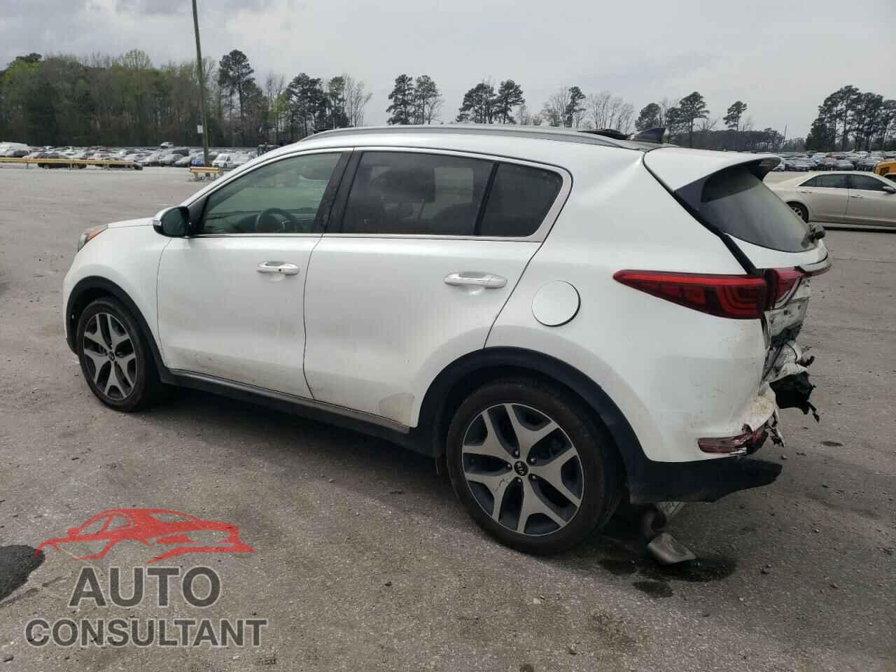 KIA SPORTAGE 2017 - KNDPR3A60H7152954
