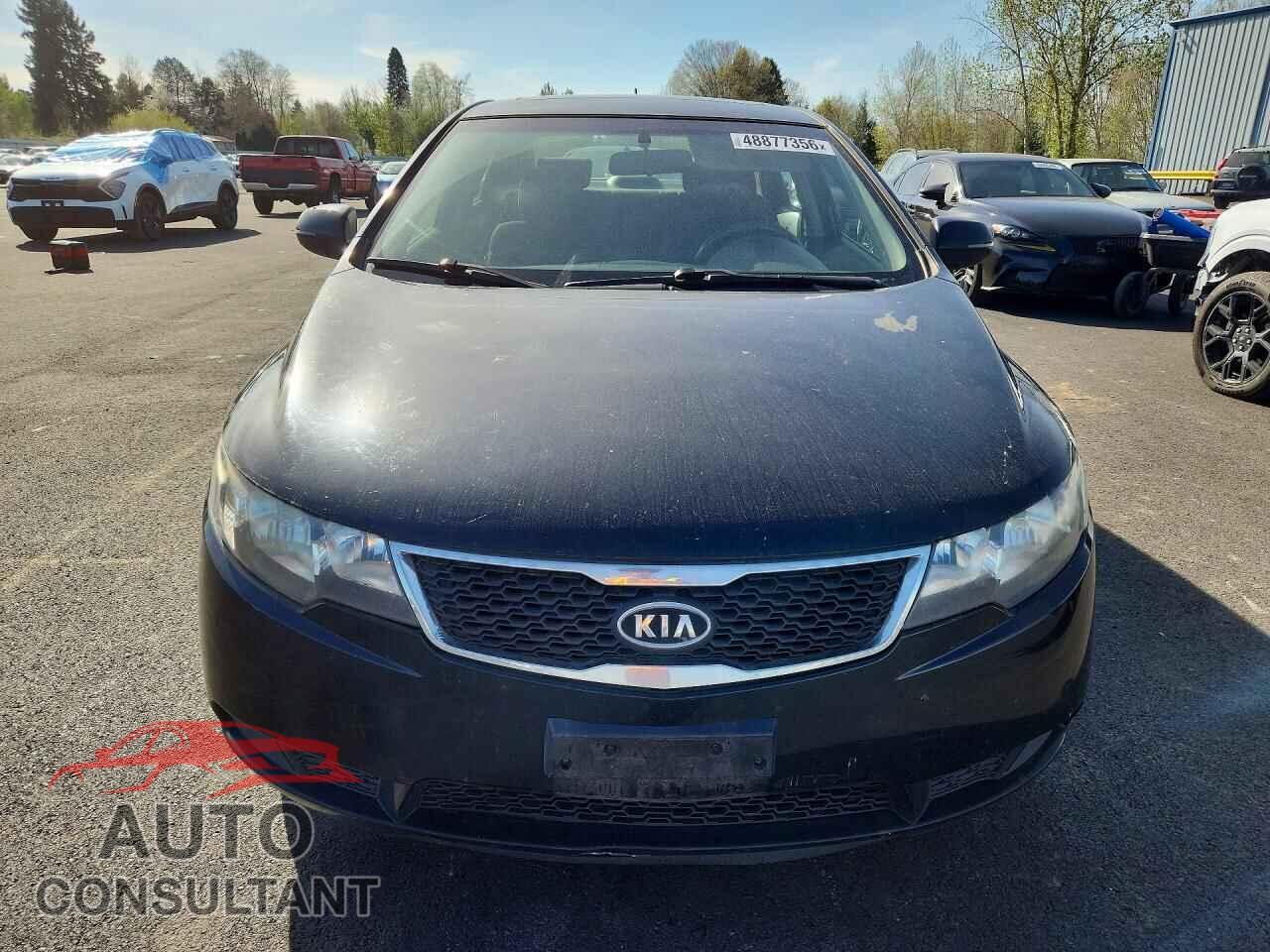 KIA FORTE 2012 - KNAFU4A26C5549549