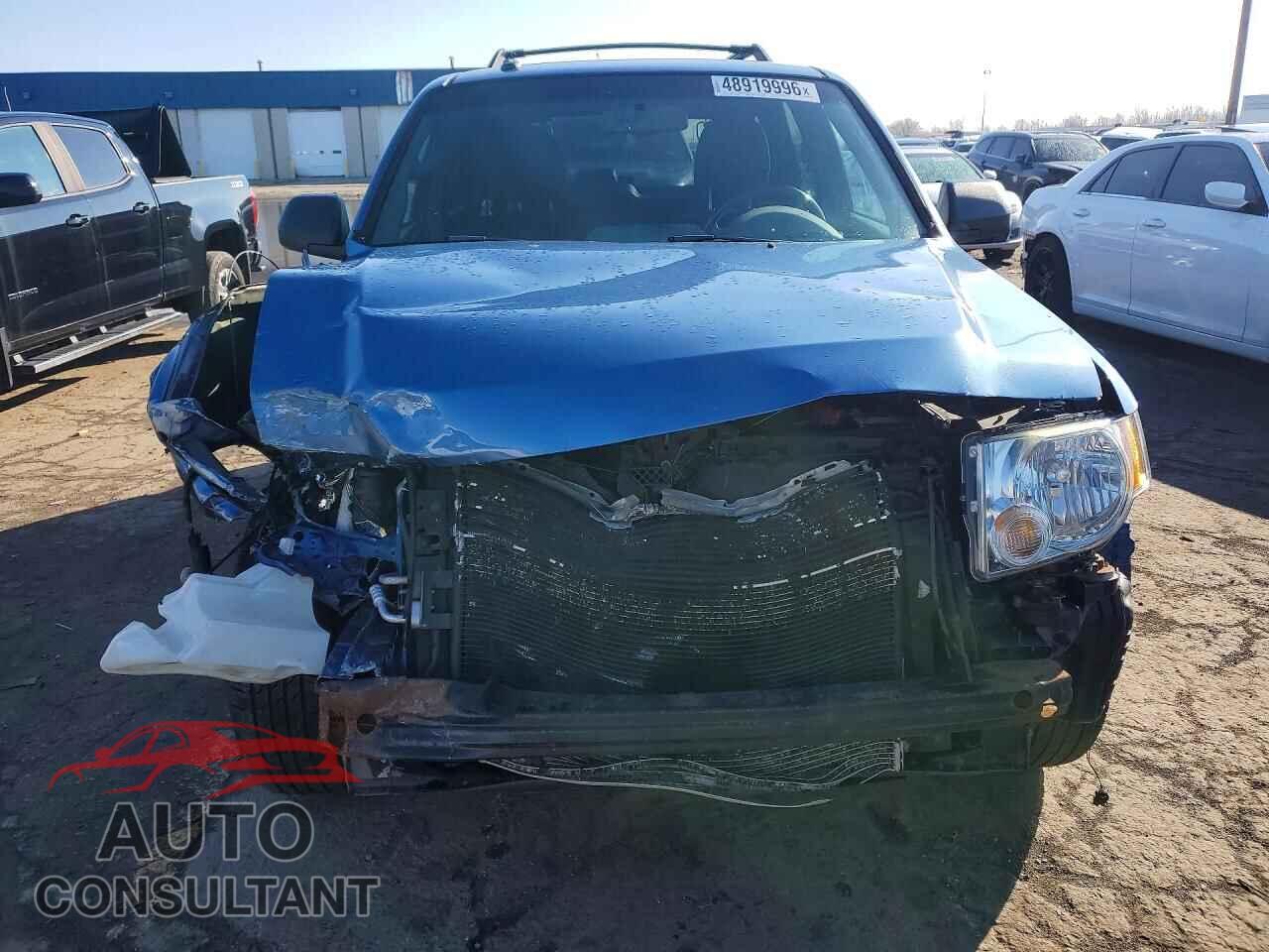 FORD ESCAPE 2010 - 1FMCU0D76AKB93717
