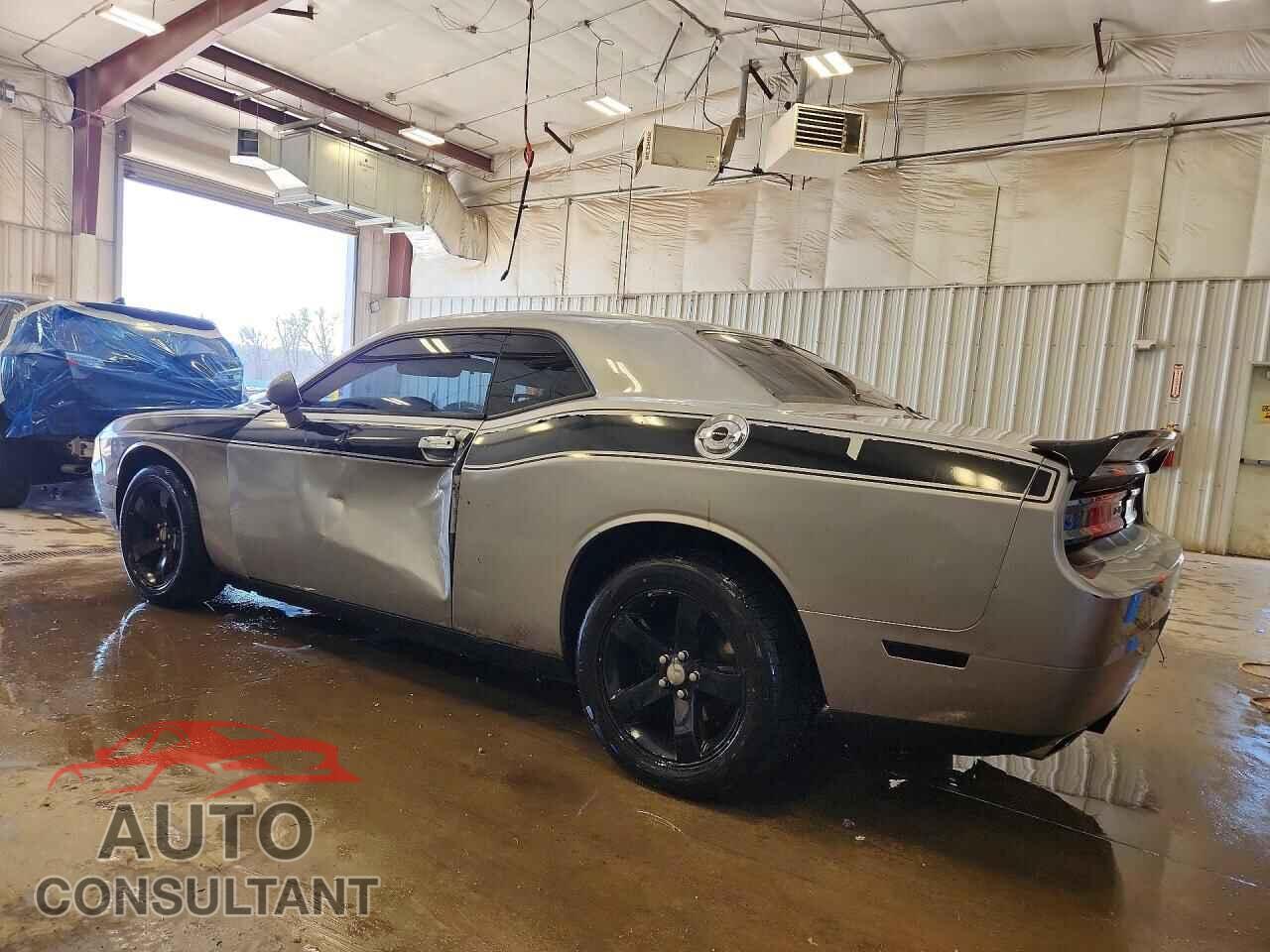 DODGE CHALLENGER 2014 - 2C3CDYAG5EH233813