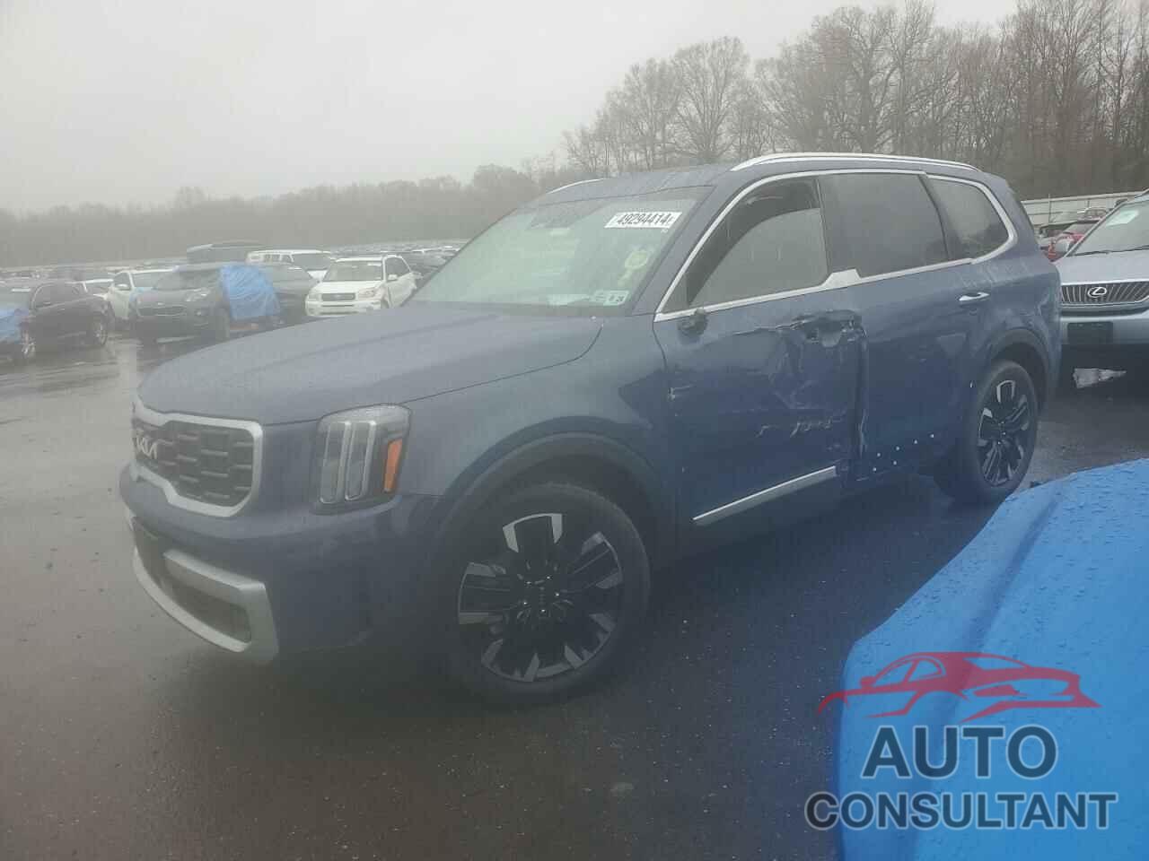 KIA TELLURIDE 2024 - 5XYP5DGC4RG419757