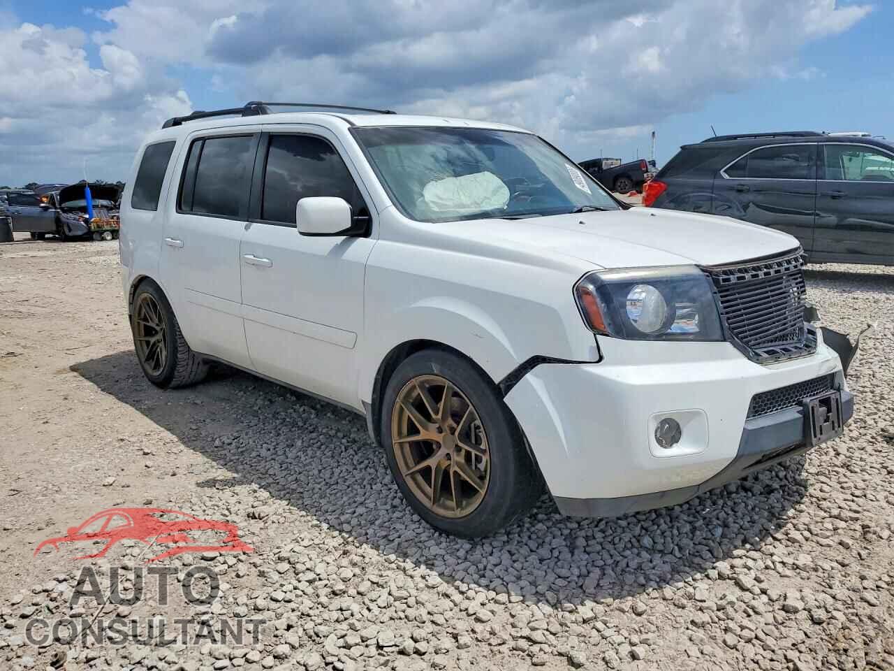 HONDA PILOT 2009 - 5FNYF38519B012837