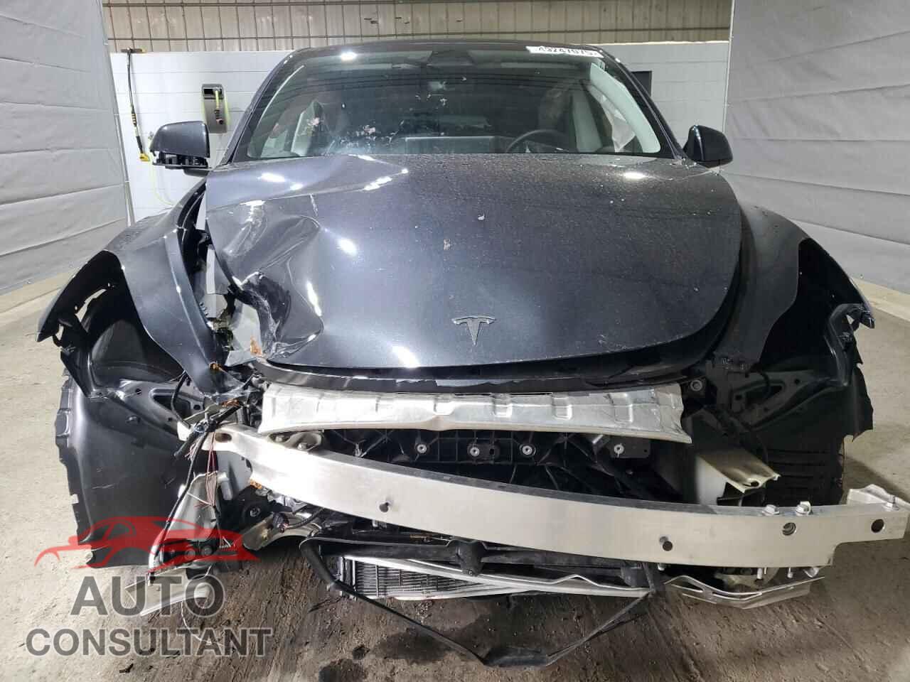 TESLA MODEL Y 2024 - 7SAYGDEE4RF085873