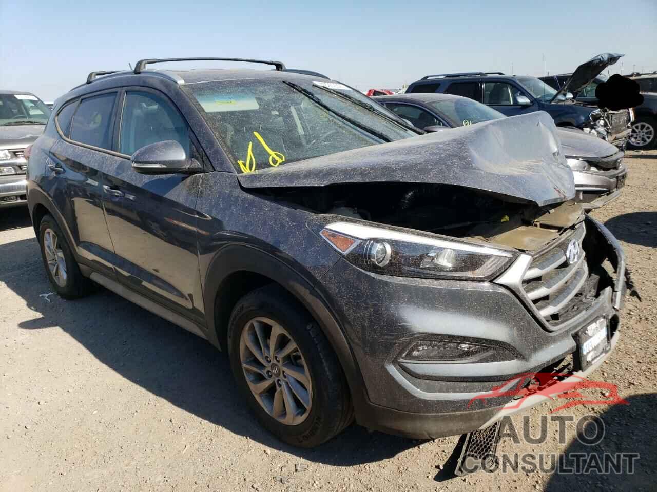 HYUNDAI TUCSON 2017 - KM8J3CA29HU517150