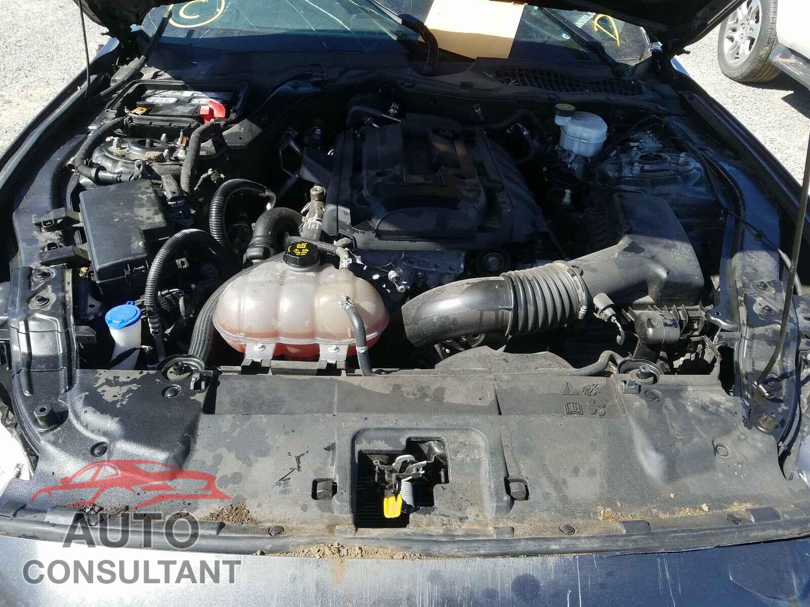 FORD MUSTANG 2020 - 1FA6P8TH8L5125234