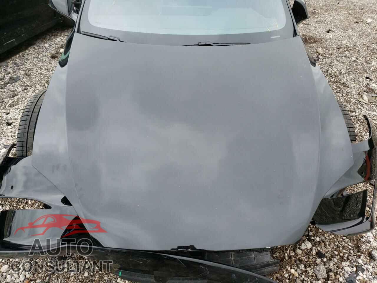 TESLA MODEL S 2022 - 5YJSA1E69NF462039