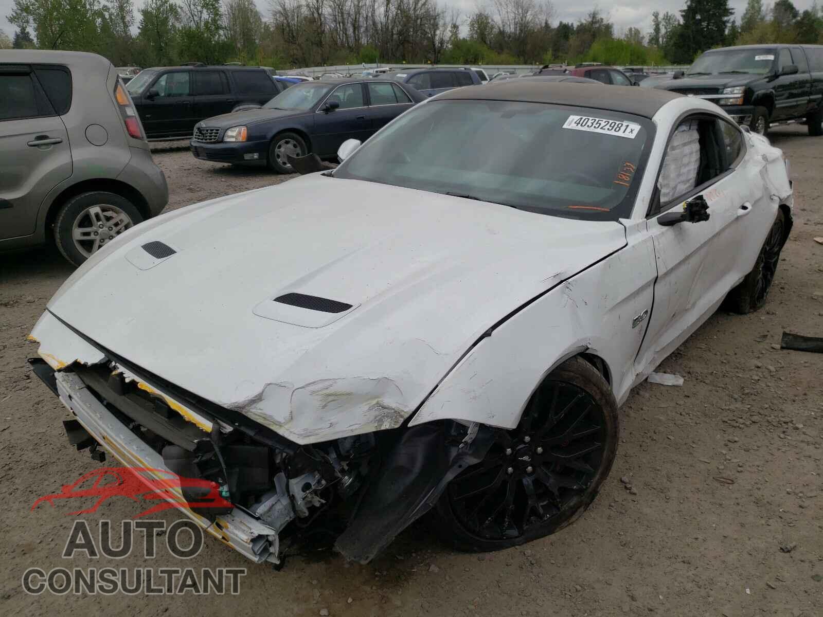 FORD MUSTANG 2019 - 1FA6P8CF0K5169726