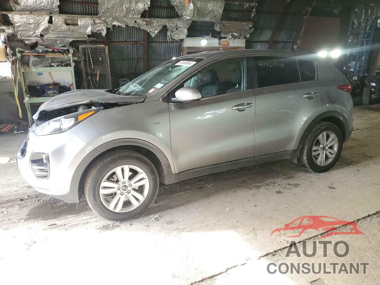 KIA SPORTAGE 2019 - KNDPMCAC3K7618095