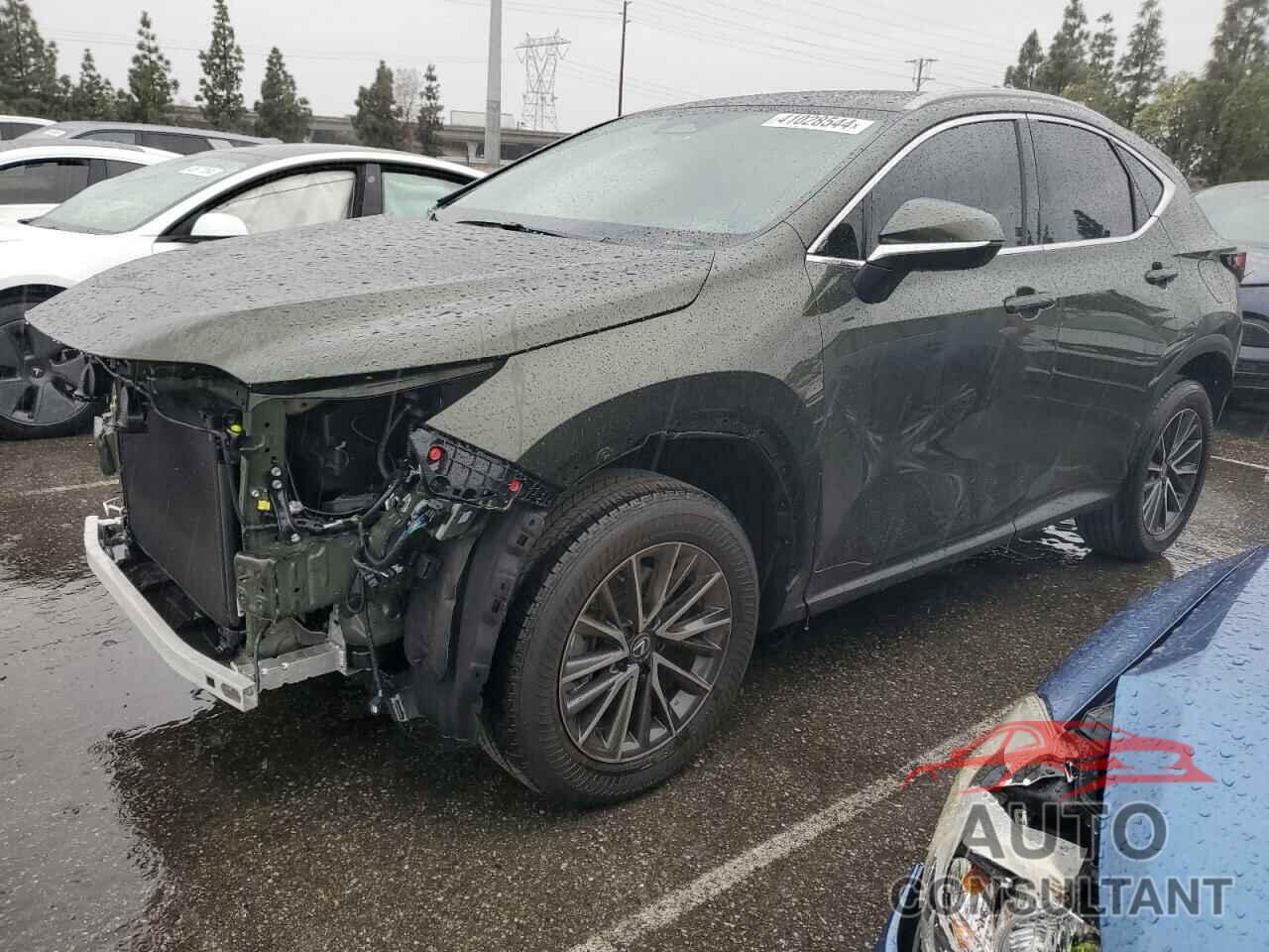 LEXUS NX 250 BAS 2024 - 2T2ADCAZ2RC009885