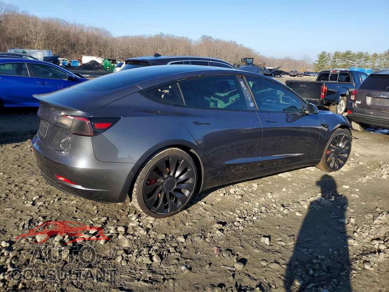 TESLA MODEL 3 2021 - 5YJ3E1EC8MF925480