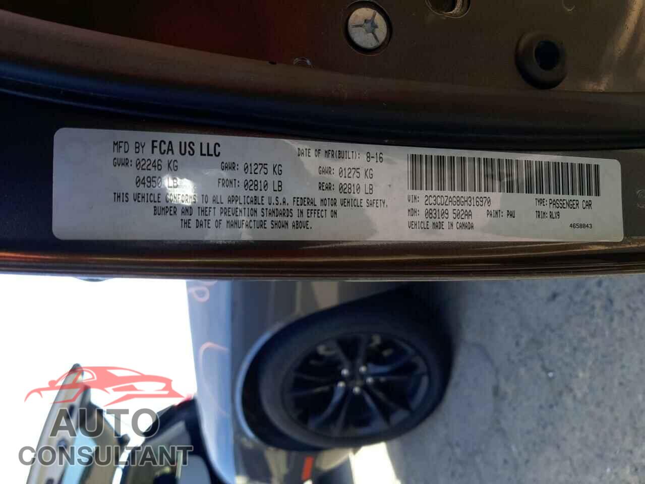 DODGE CHALLENGER 2016 - 2C3CDZAG8GH316970