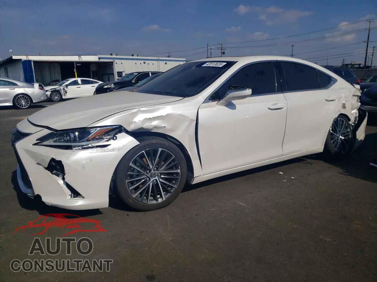 LEXUS ES300 2024 - 58ADA1C19RU051984