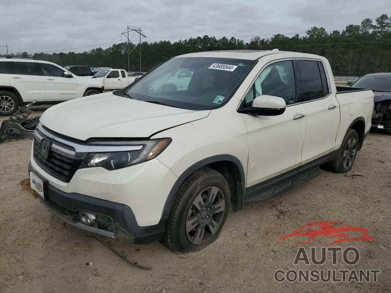 HONDA RIDGELINE 2019 - 5FPYK3F71KB000491