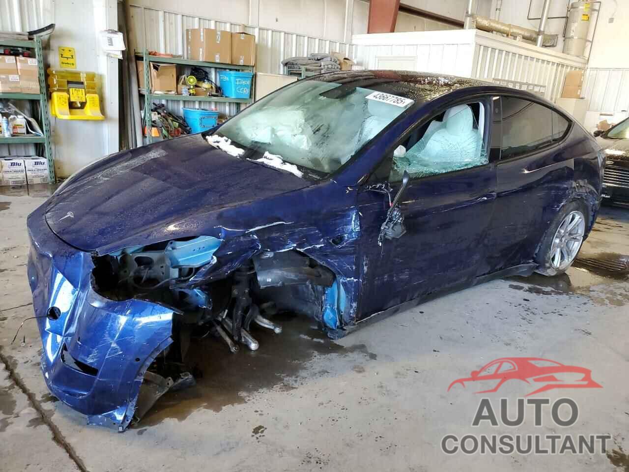TESLA MODEL Y 2023 - 7SAYGDEE2PF585799