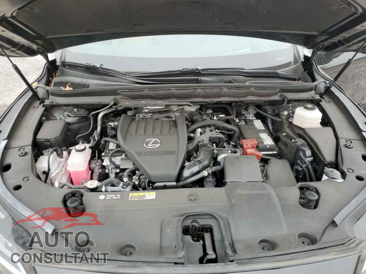 LEXUS RX350 2023 - 2T2BAMCA7PC025247